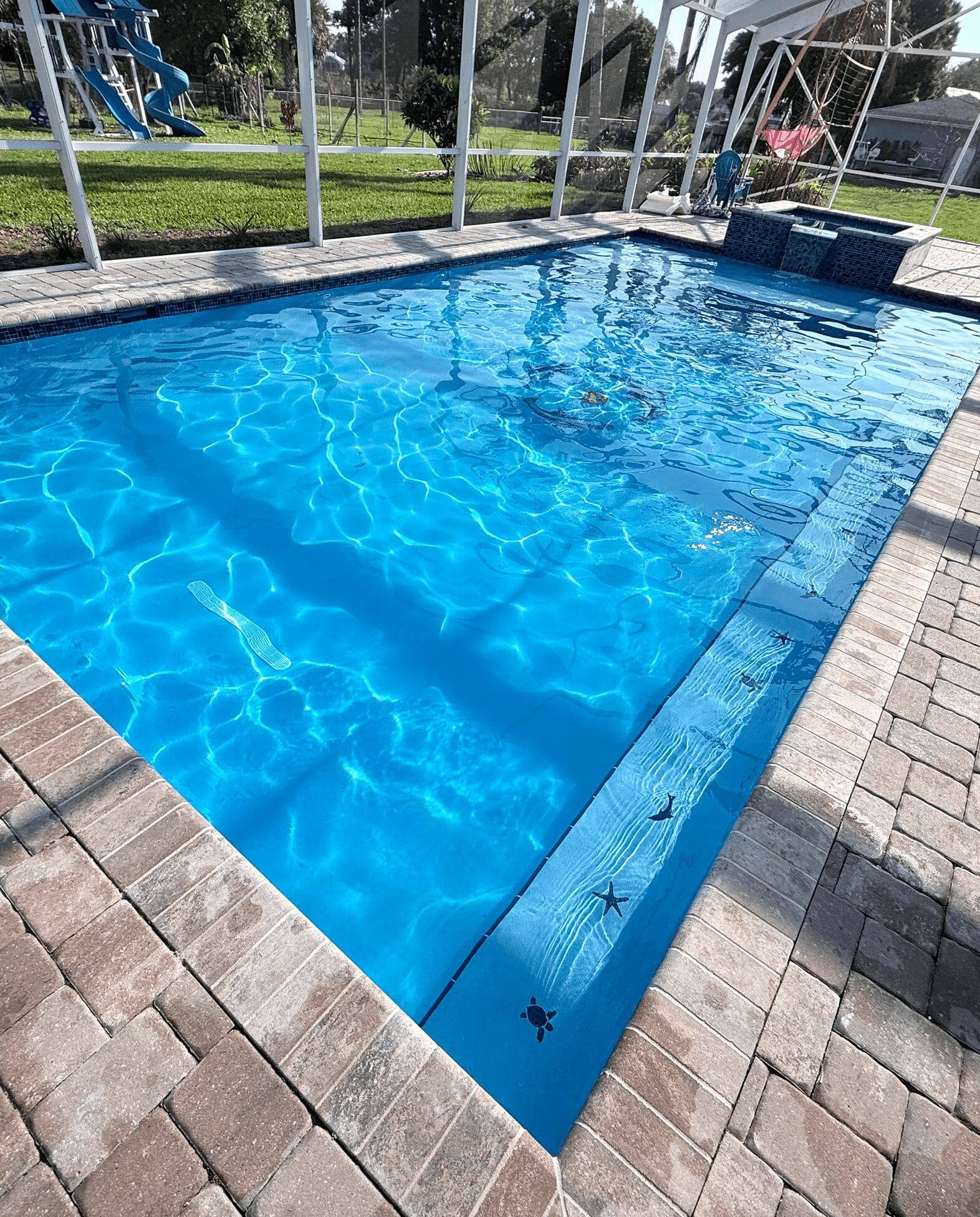 Screened backyard swimming pool with blue water
